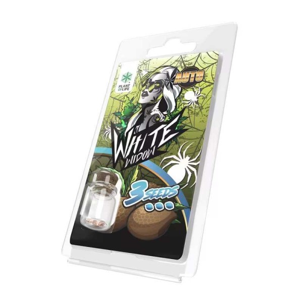 3 Graines White Widow AUTO | Plant of Life