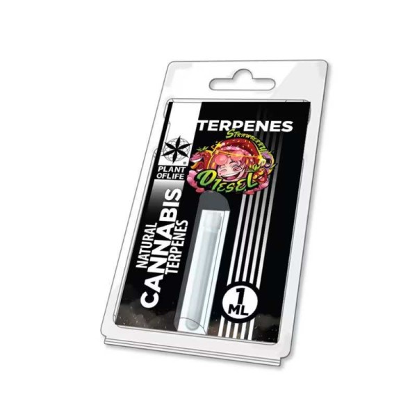 Terpène Strawberry Diesel | PLANT OF LIFE