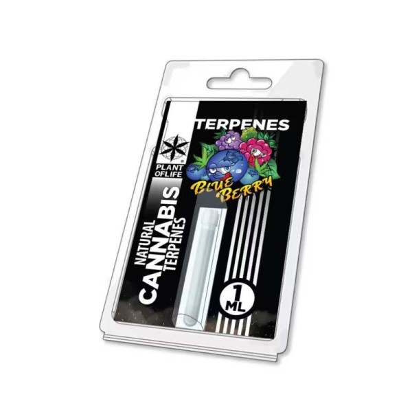 Terpène Blueberry Diesel | PLANT OF LIFE